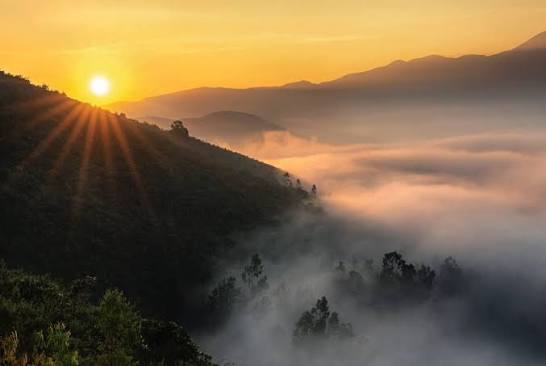 Araku Special Package